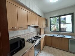 Tanjong Katong Road (D15), Apartment #595970981